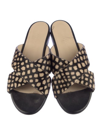 Jenni Kayne Ponyhair Printed Slides