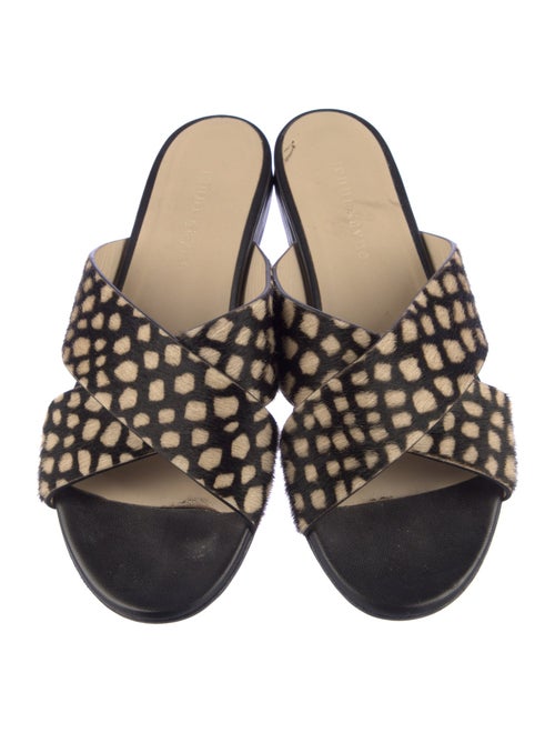 Jenni Kayne Ponyhair Printed Slides