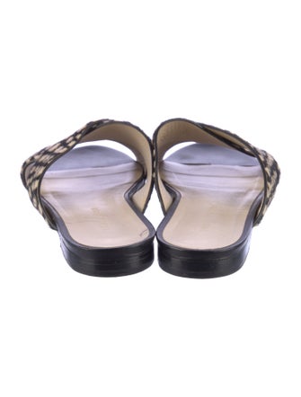 Jenni Kayne Ponyhair Printed Slides