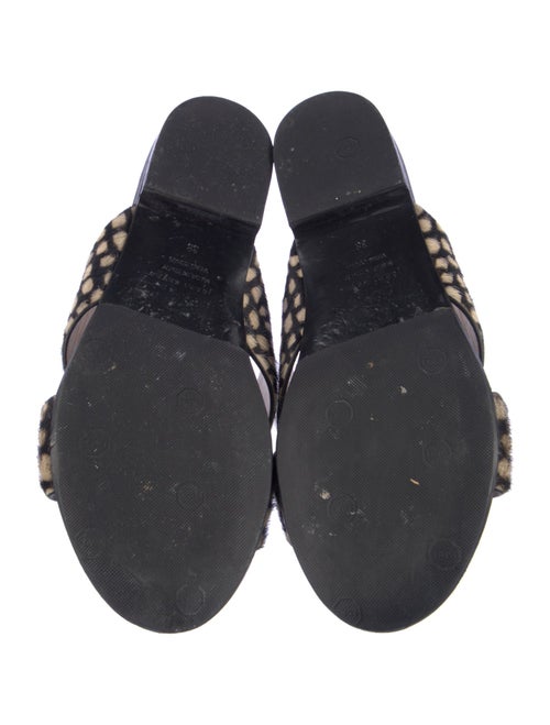 Jenni Kayne Ponyhair Printed Slides