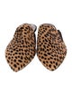 Jenni Kayne Ponyhair Animal Print Mules