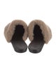 Jenni Kayne Shearling Mules