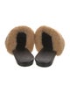 Jenni Kayne Shearling Mules
