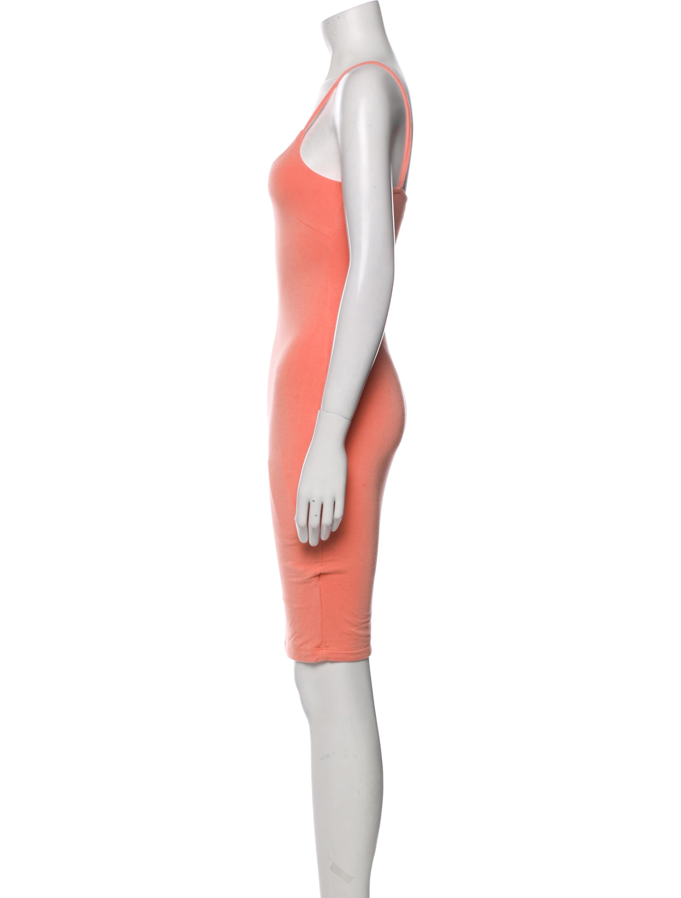 JLuxLabel Bamboo Mini Dress