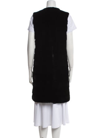 Jindo Mink Faux Fur Jacket