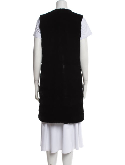 Jindo Mink Faux Fur Jacket