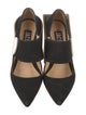 Jacquemus Suede Pumps