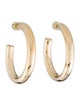 Jennifer Fisher Hoop Earrings