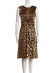 Just Cavalli Animal Print Knee-Length Dress