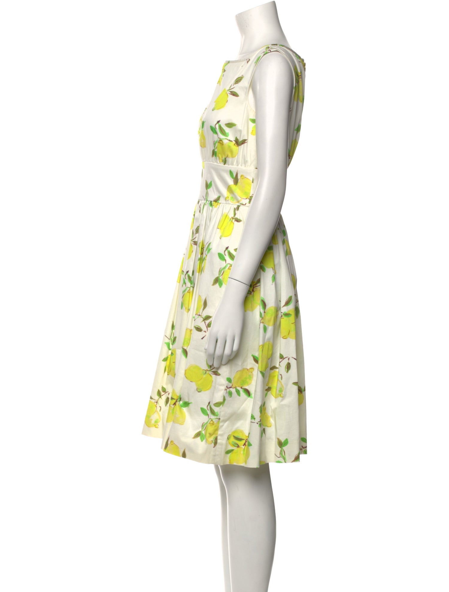 Kate Spade New York Printed Knee-Length Dress