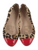 Kate Spade New York Ponyhair Animal Print Ballet Flats