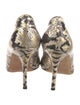 Kate Spade New York Snakeskin Animal Print T-Strap Pumps