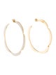 Kate Spade New York Enamel Sliced Scallops Hoop Earrings