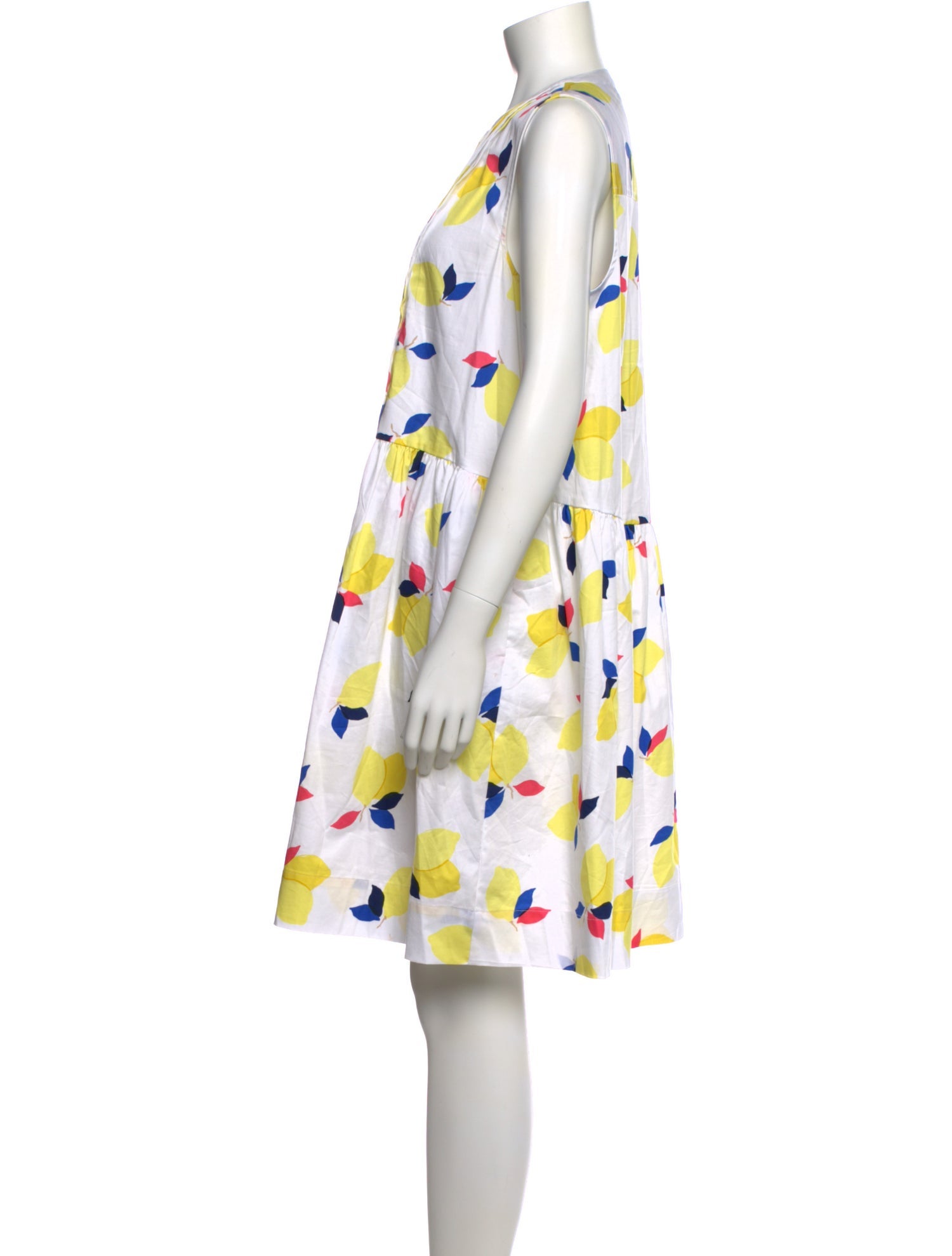 Kate Spade New York Printed Knee-Length Dress