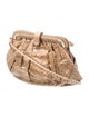 Walter Katten Python Evening Bag