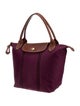 Longchamp Nylon Expandable Le Pliage Tote Bag