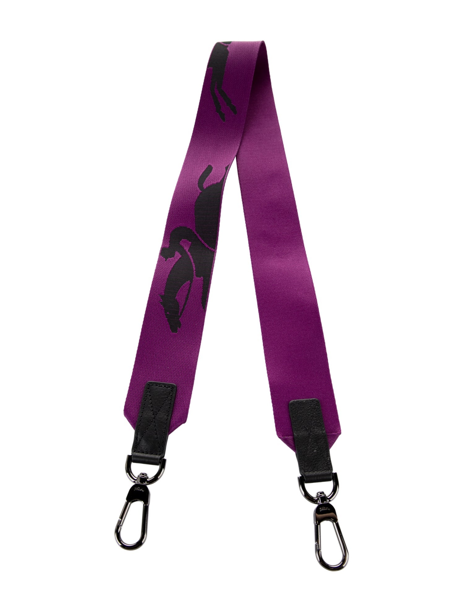 Longchamp Canvas Bag Strap