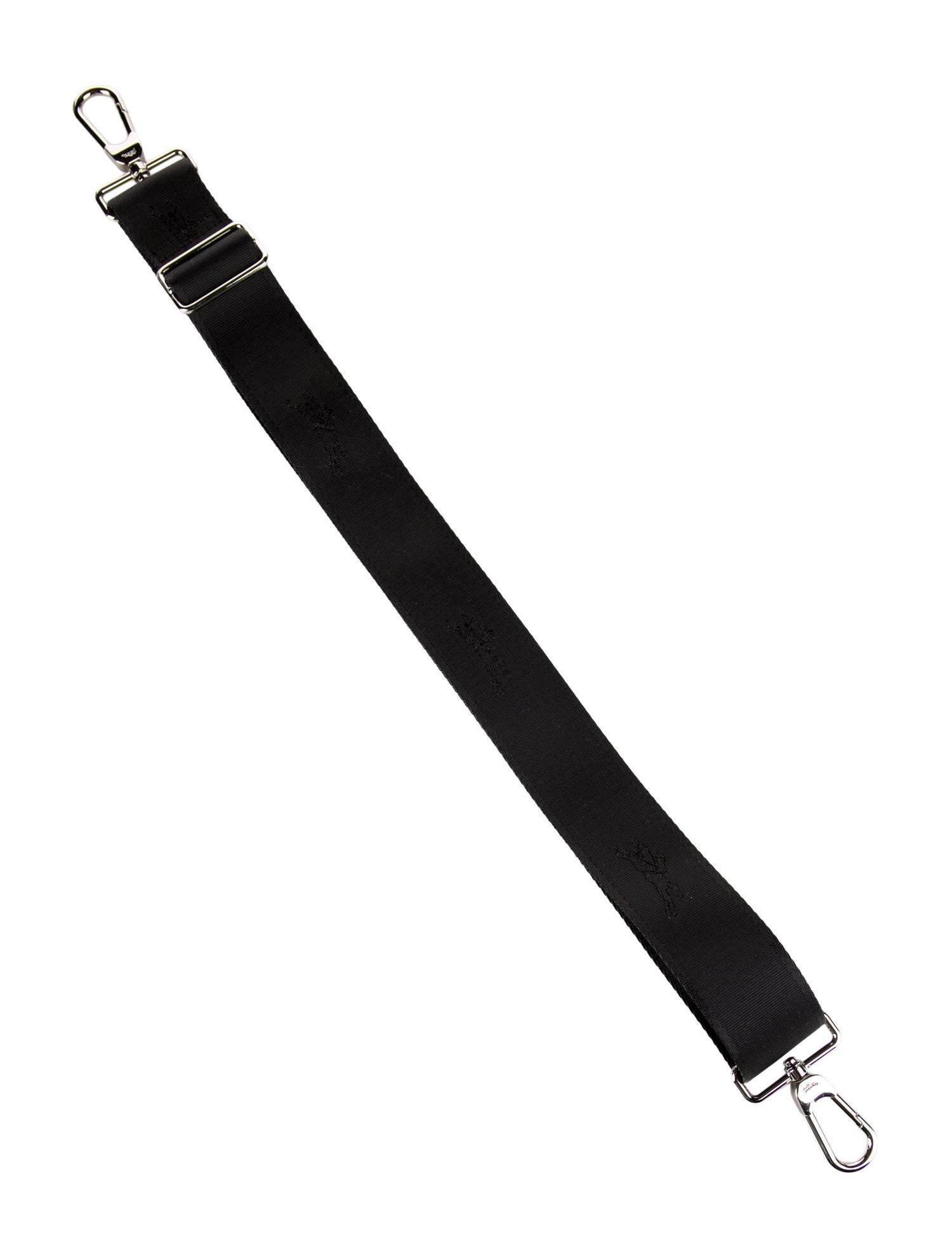 Longchamp Canvas Bag Strap