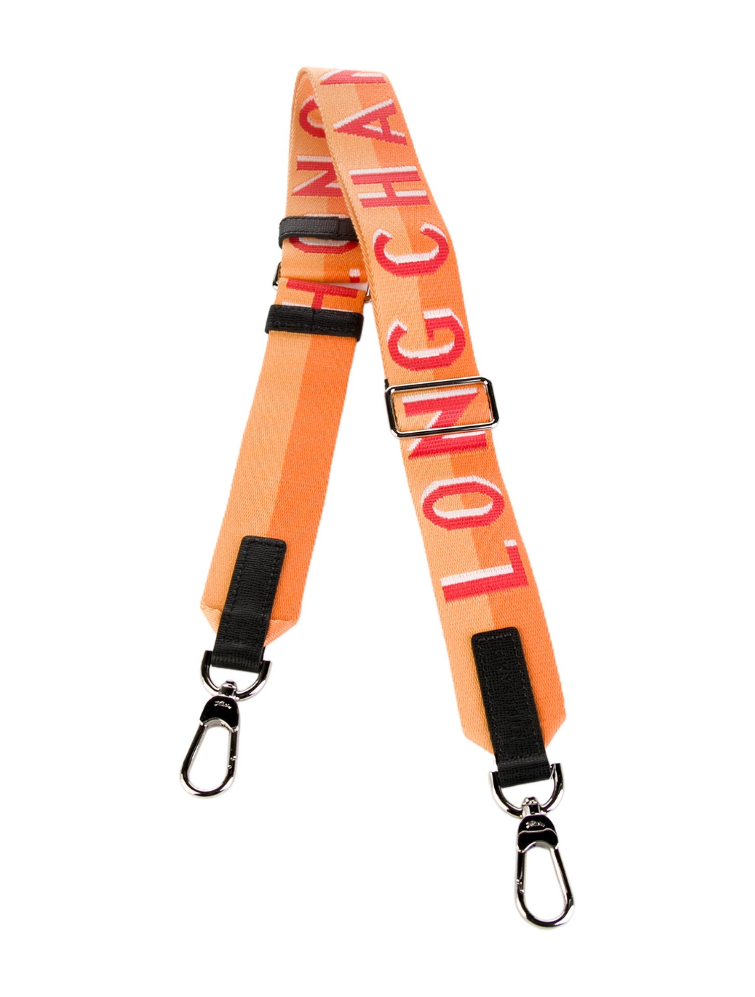 Longchamp Printed Bag Accessory