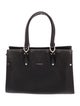 Longchamp Leather Top Handle Bag