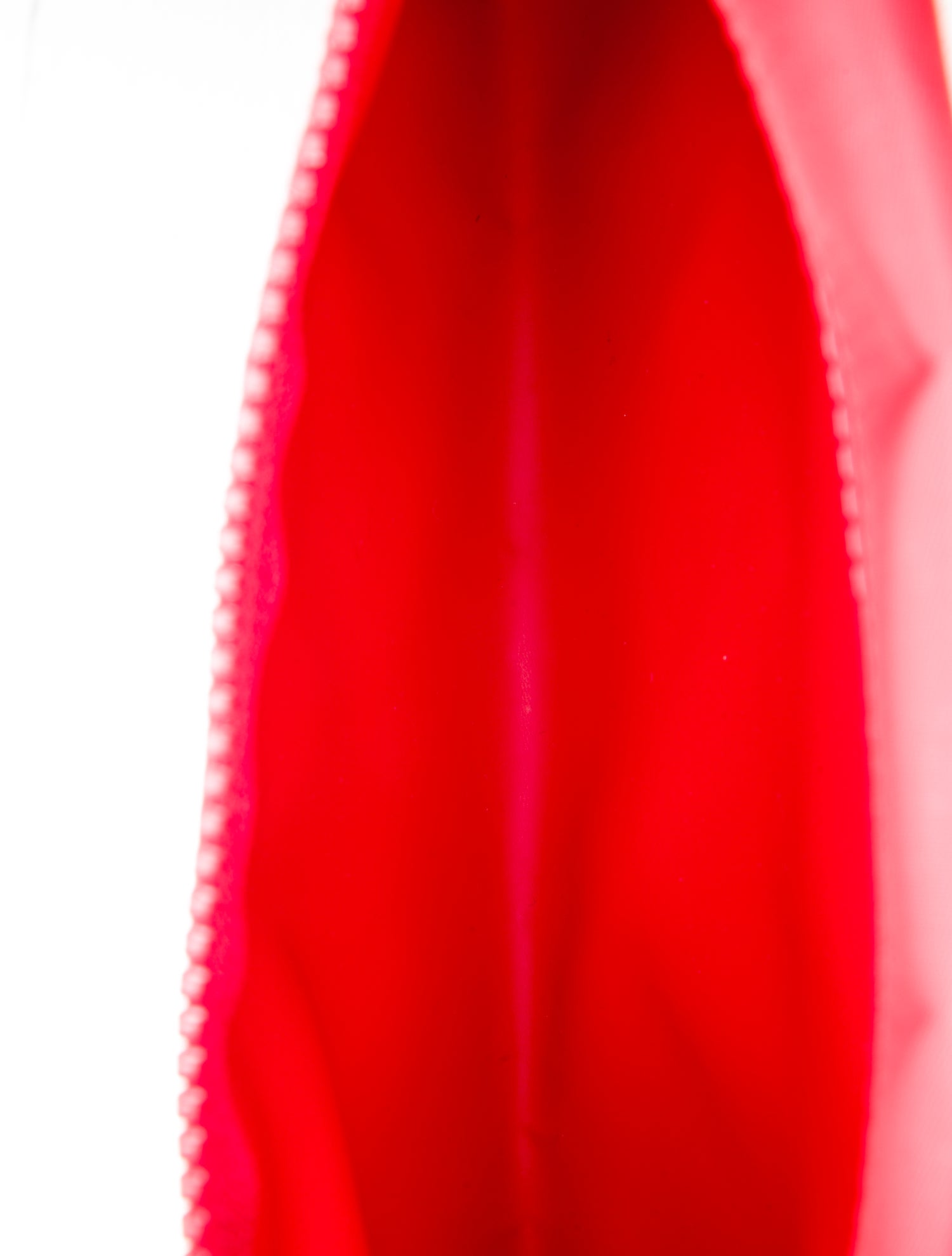 Longchamp Canvas Clutch