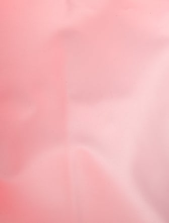 Longchamp Nylon Tote Small