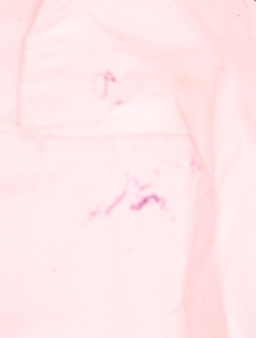 Longchamp Nylon Tote