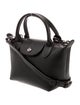 Longchamp Leather Shoulder Bag
