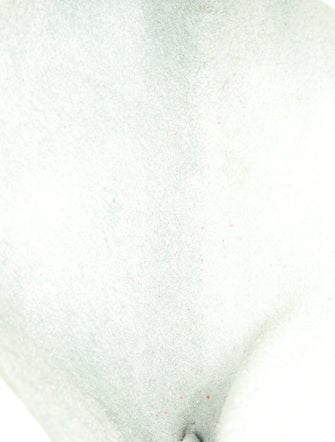 Longchamp Leather Clutch