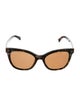 Longchamp Wayfarer Tinted Sunglasses