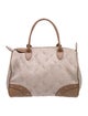 Longchamp Canvas Top Handle Bag