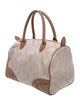 Longchamp Canvas Top Handle Bag