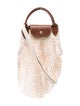 Longchamp Shoulder Bag