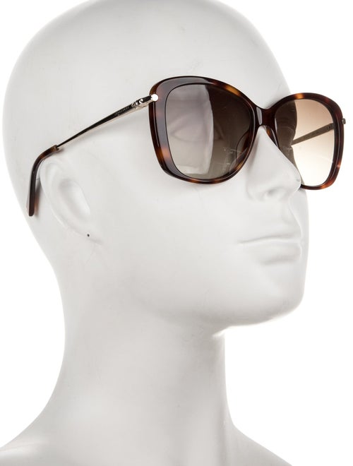 Longchamp Oversize Tinted Sunglasses
