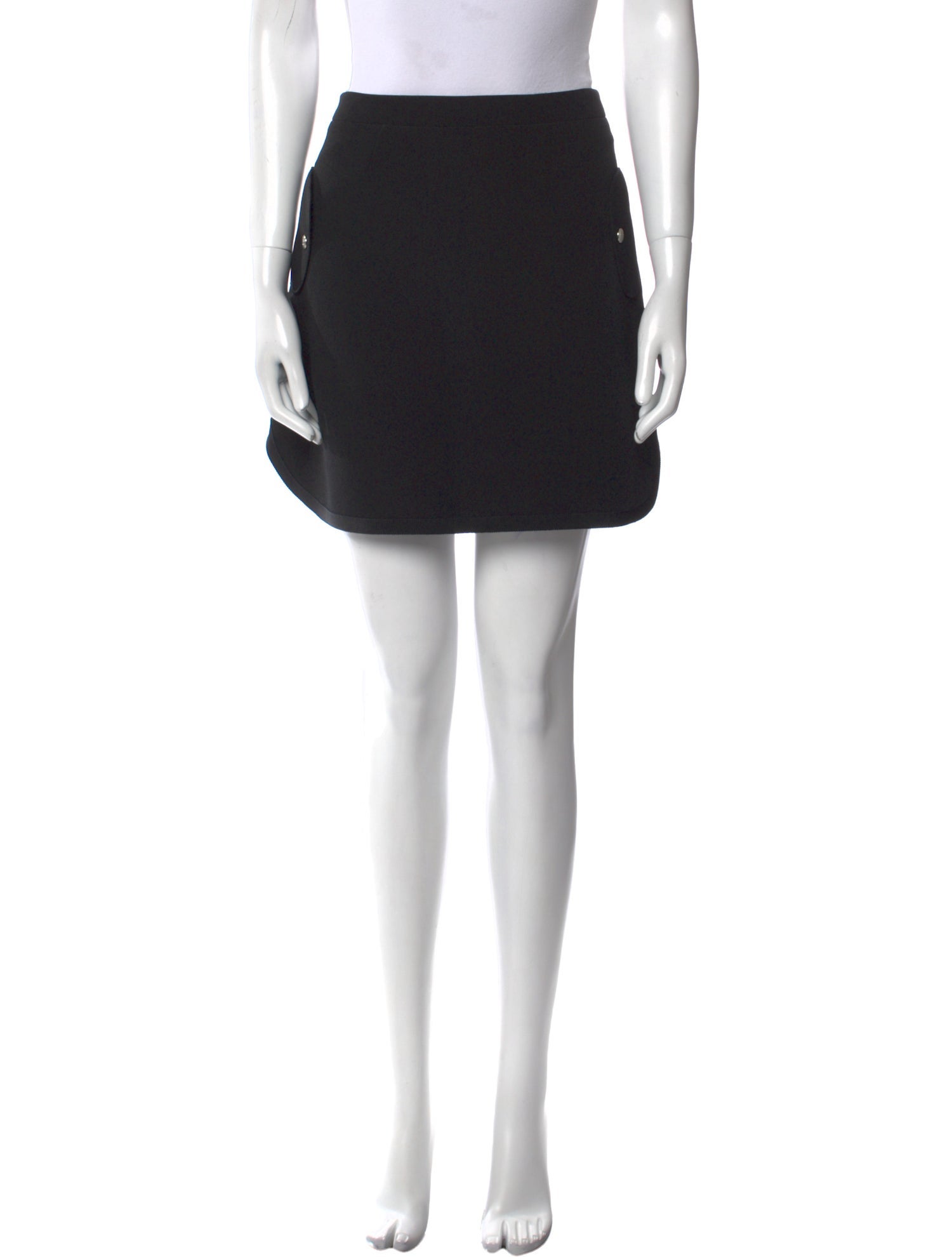 Longchamp Mini Skirt