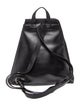 Longchamp Leather Backpack