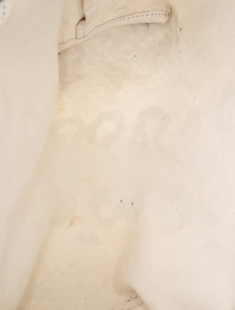 Longchamp Canvas Shoulder Bag