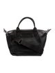 Longchamp Nylon Tote