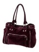 Longchamp Suede Shoulder Bag