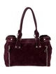 Longchamp Suede Shoulder Bag