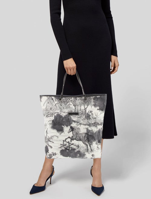 Longchamp Canvas Top Handle Bag