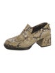 Labucq Python Animal Print Pumps