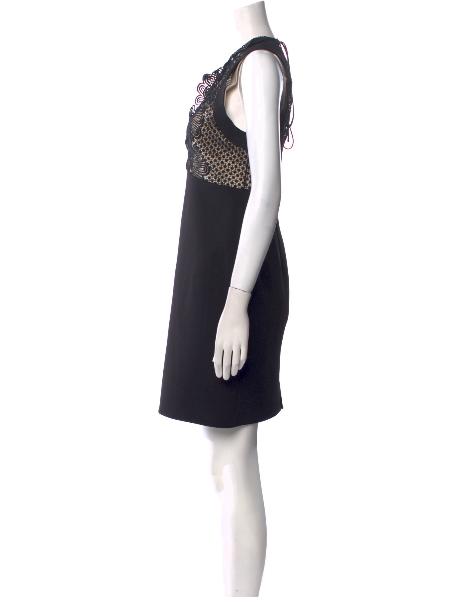 Lover V-Neck Mini Dress