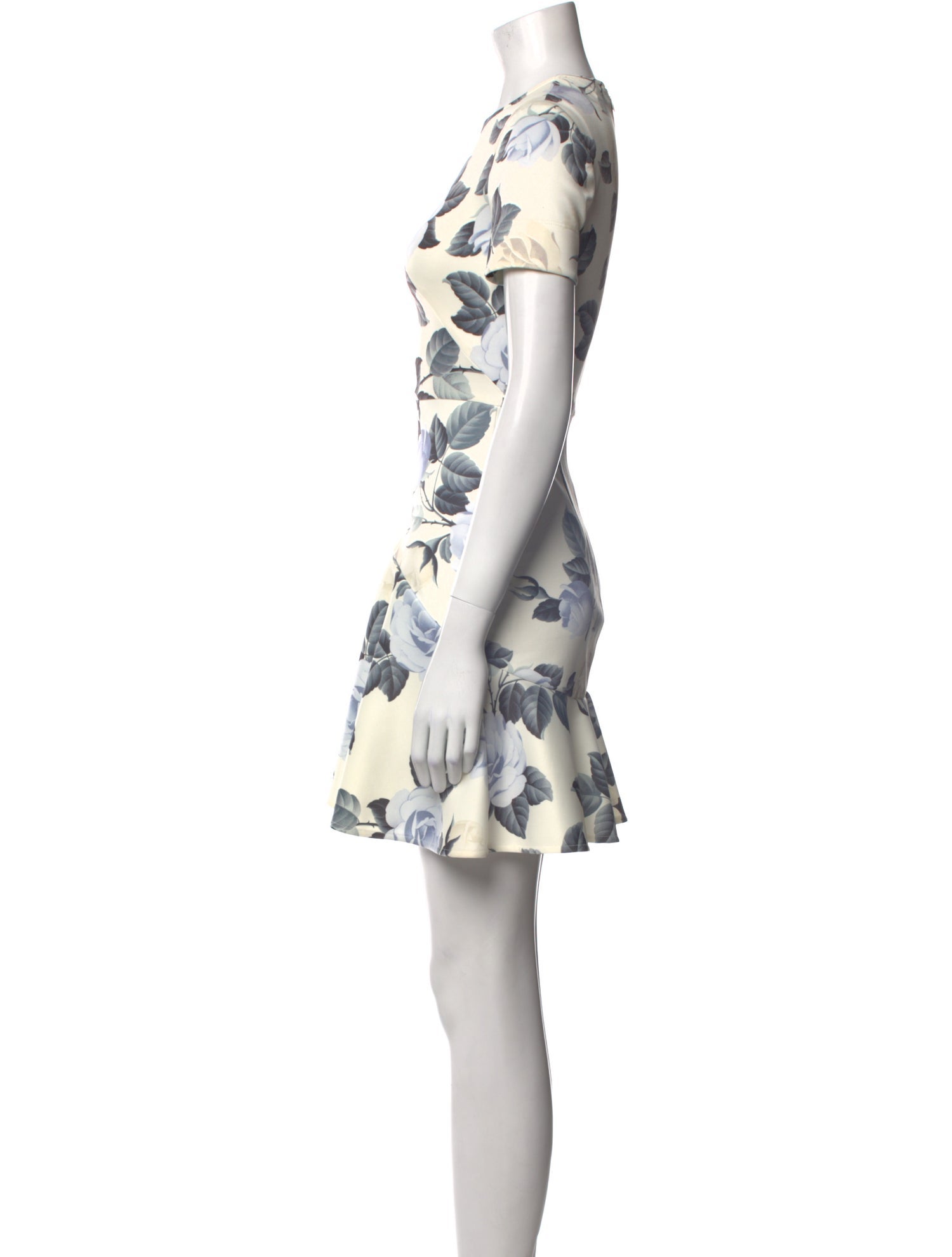 Lover Floral Print Mini Dress