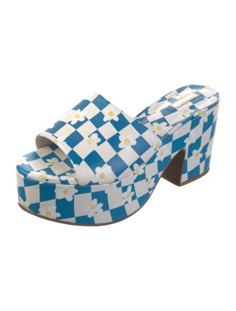 Larroude Printed Slides