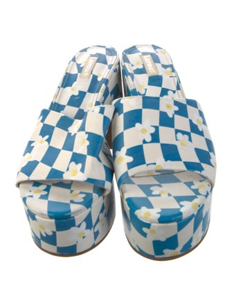 Larroude Printed Slides