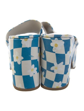 Larroude Printed Slides