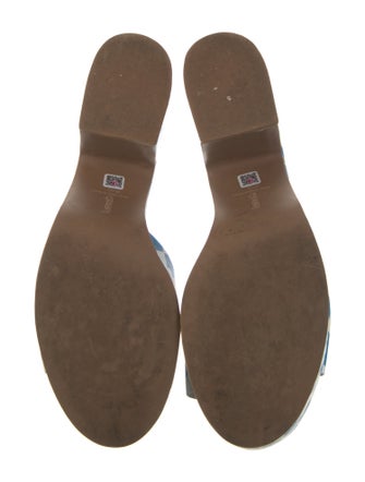 Larroude Printed Slides