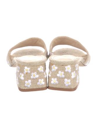 Larroude Canvas Printed Slides