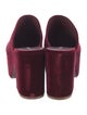 Larroude Velvet Mules
